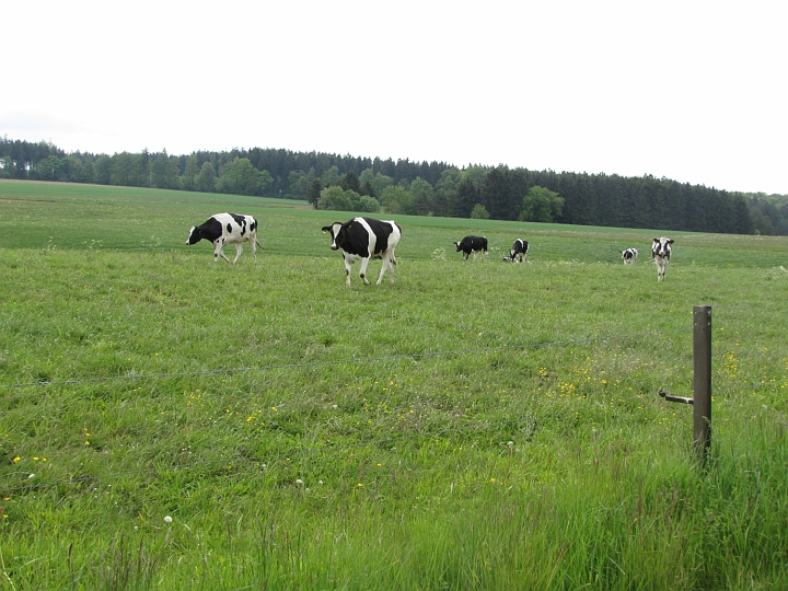 Wanderung 2014_012.jpg